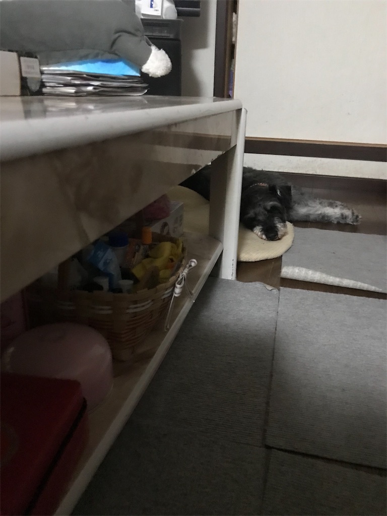 f:id:hukusuke39:20190603202113j:image