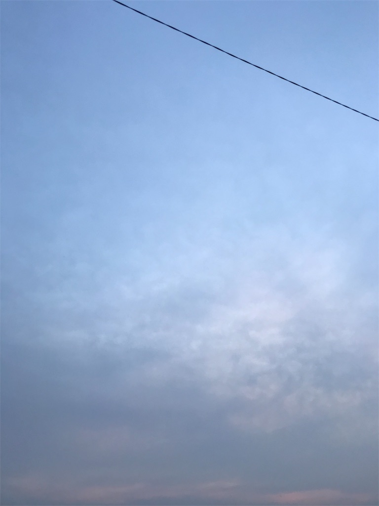 f:id:hukusuke39:20190607045526j:image