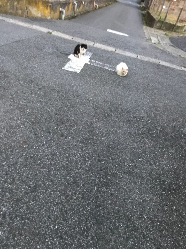 f:id:hukusuke39:20190618045419j:image