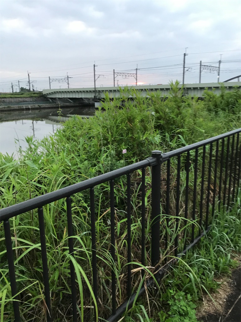 f:id:hukusuke39:20190625044754j:image