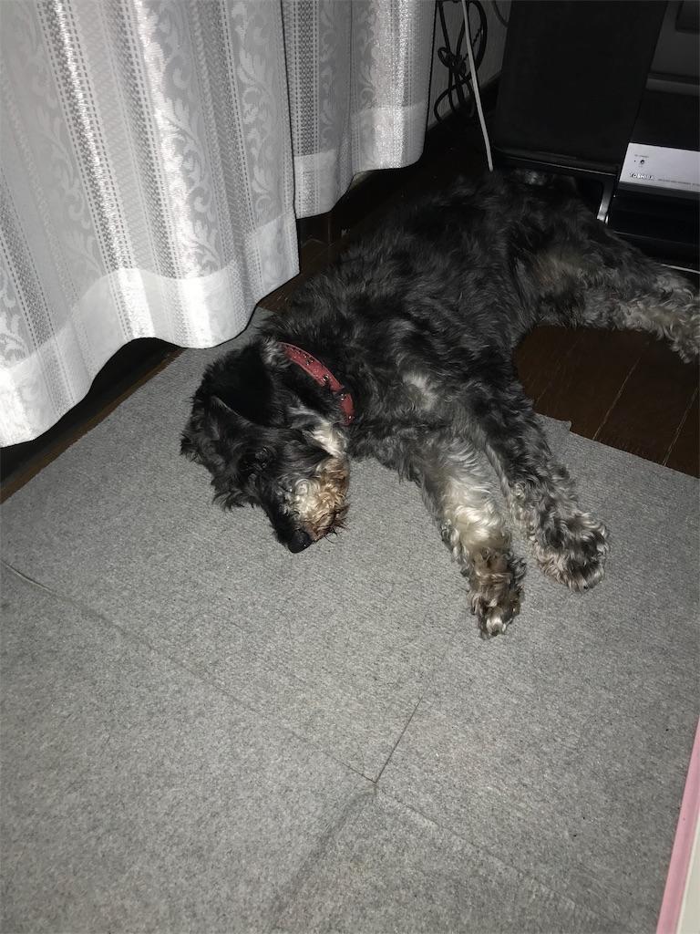 f:id:hukusuke39:20190626202522j:image