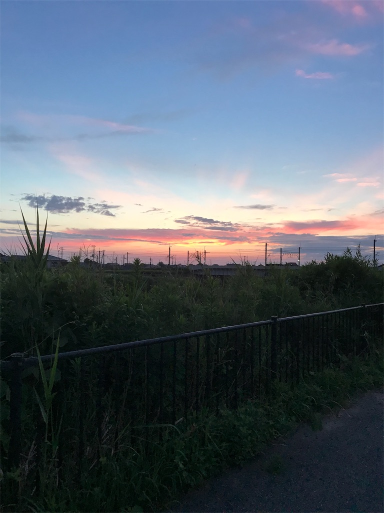 f:id:hukusuke39:20190627044716j:image