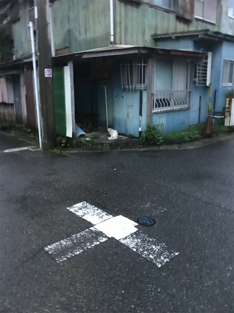 f:id:hukusuke39:20190629050337j:image