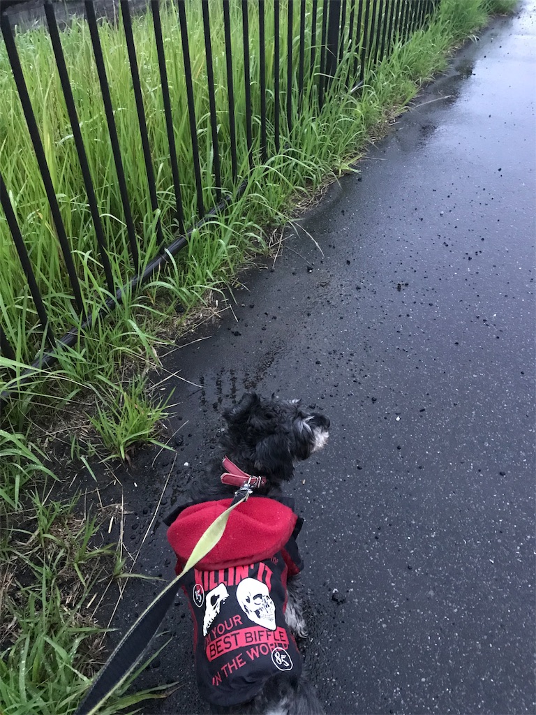 f:id:hukusuke39:20190629050400j:image