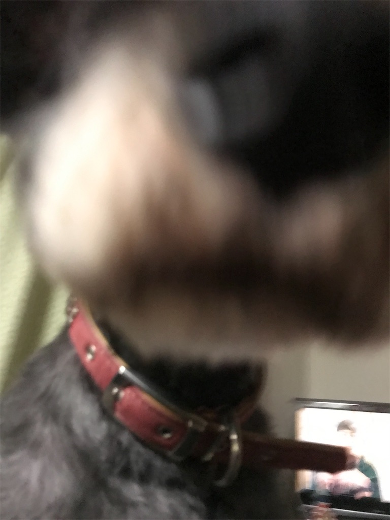 f:id:hukusuke39:20190710110140j:plain f:id:hukusuke39:20190710110140j:plain