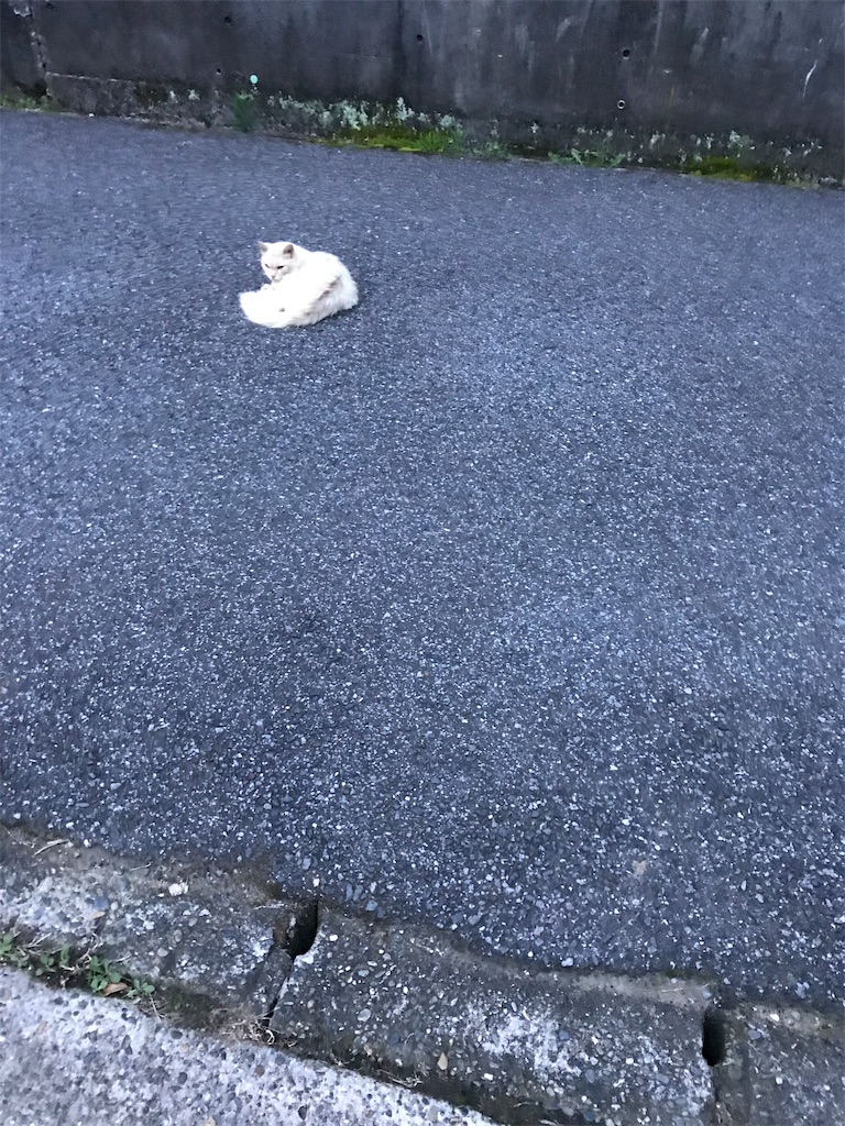 f:id:hukusuke39:20190720052641j:image f:id:hukusuke39:20190720052641j:image