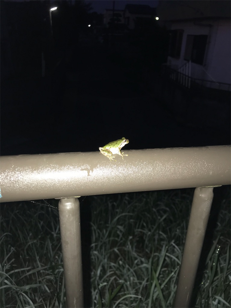 f:id:hukusuke39:20190804044222j:image f:id:hukusuke39:20190804044222j:image