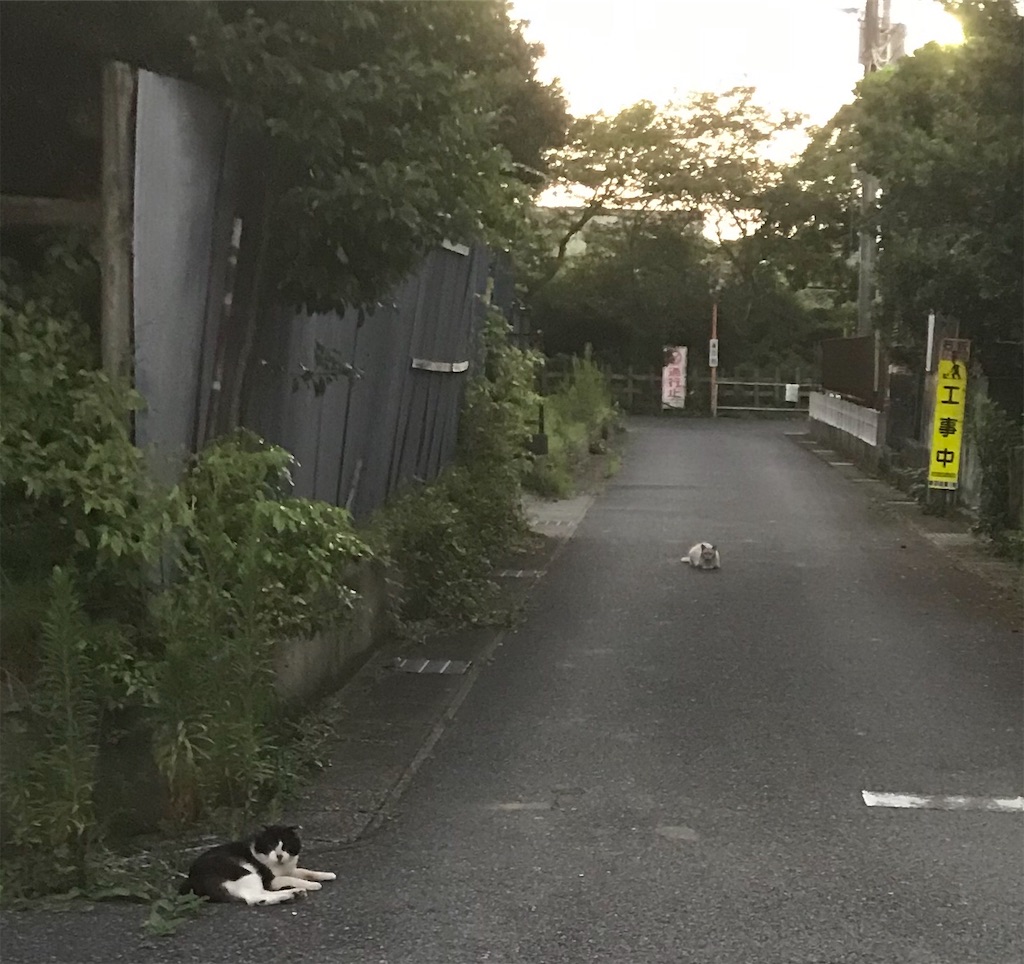 f:id:hukusuke39:20190804044425j:image f:id:hukusuke39:20190804044425j:image