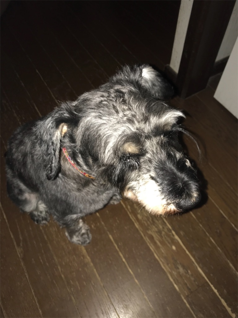 f:id:hukusuke39:20190807044424j:plain f:id:hukusuke39:20190807044424j:plain