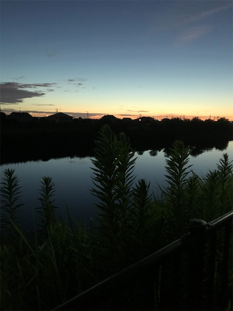 f:id:hukusuke39:20190808044809j:image f:id:hukusuke39:20190808044809j:image