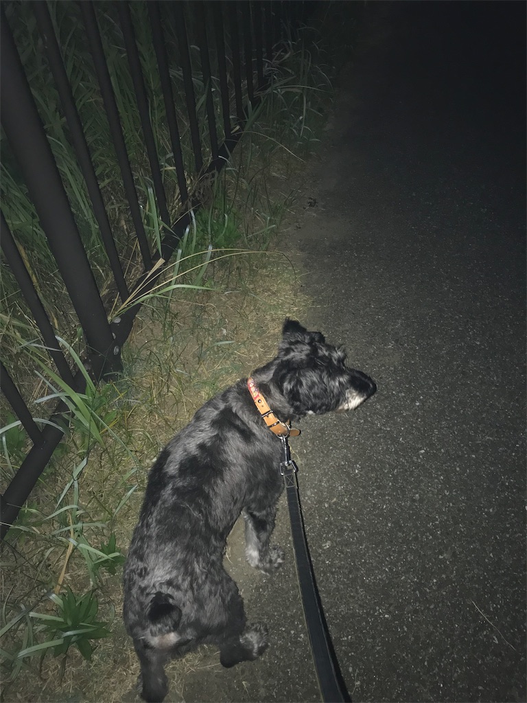 f:id:hukusuke39:20190808044832j:image f:id:hukusuke39:20190808044832j:image