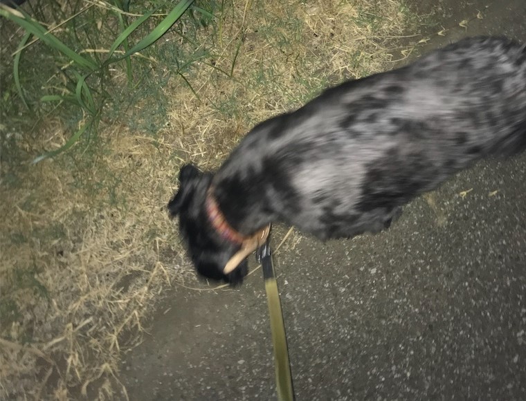 f:id:hukusuke39:20190809073440j:plain f:id:hukusuke39:20190809073440j:plain