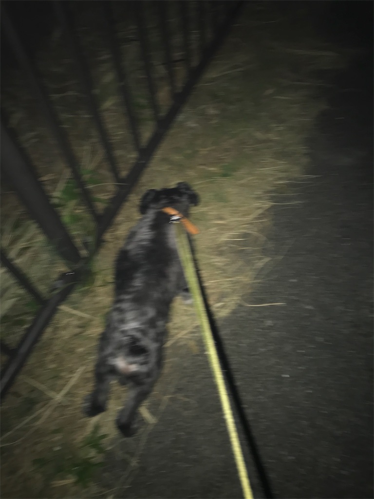 f:id:hukusuke39:20190812043205j:image