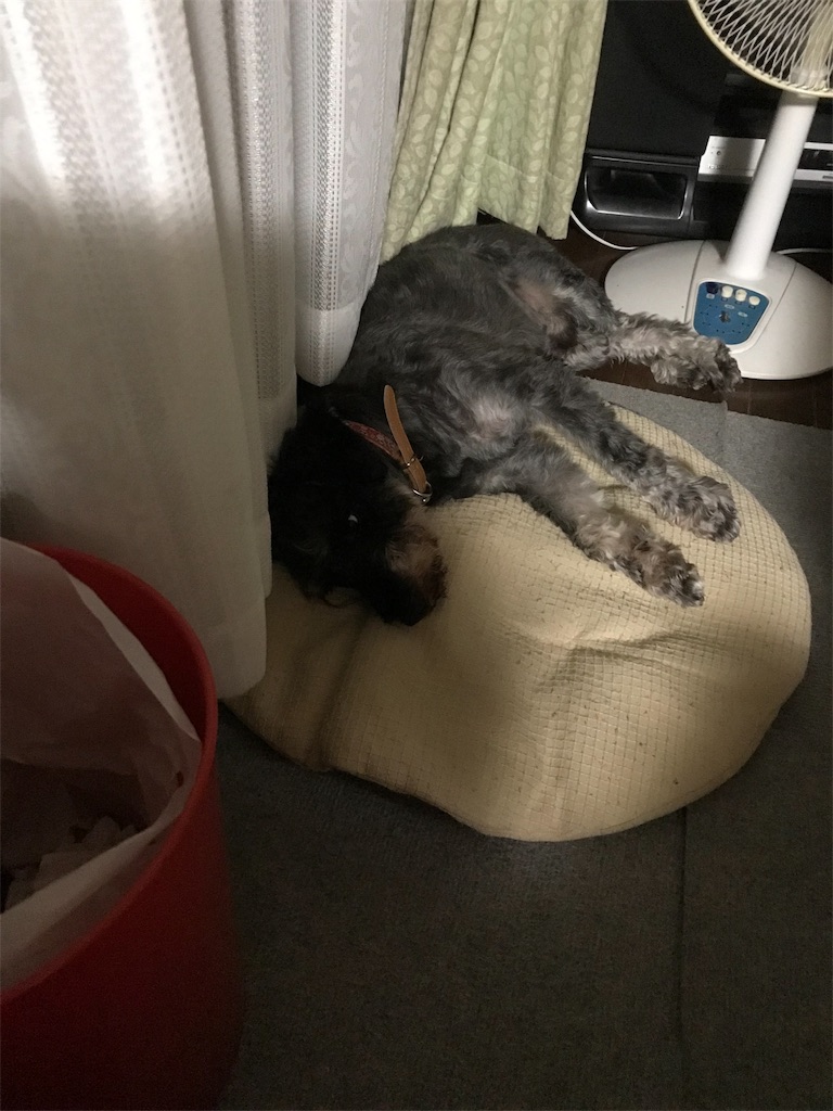 f:id:hukusuke39:20190815144436j:image