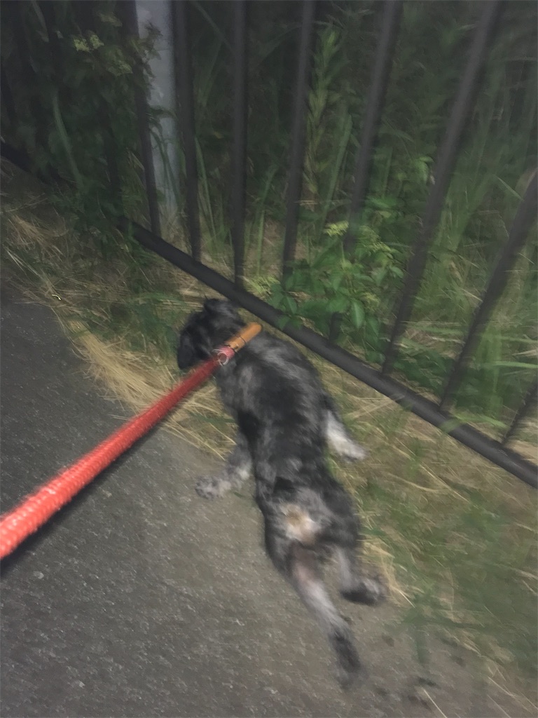 f:id:hukusuke39:20190817090045j:image