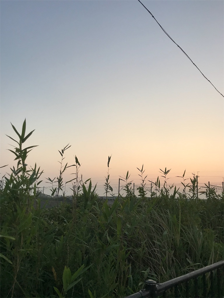 f:id:hukusuke39:20190818060541j:image