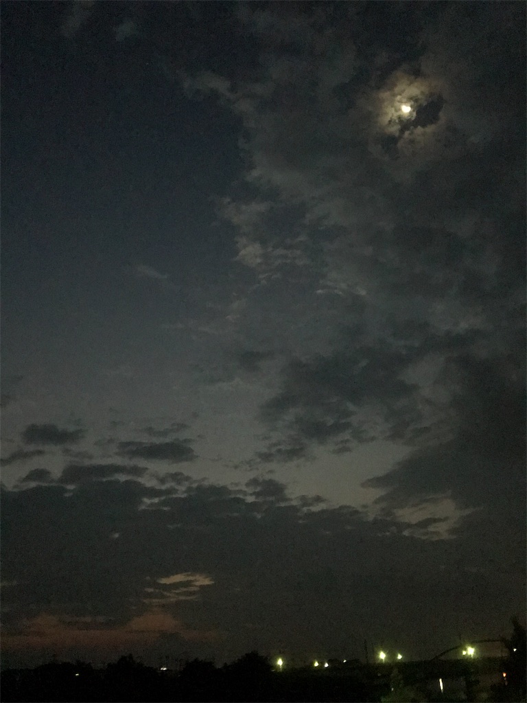 f:id:hukusuke39:20190826044726j:image