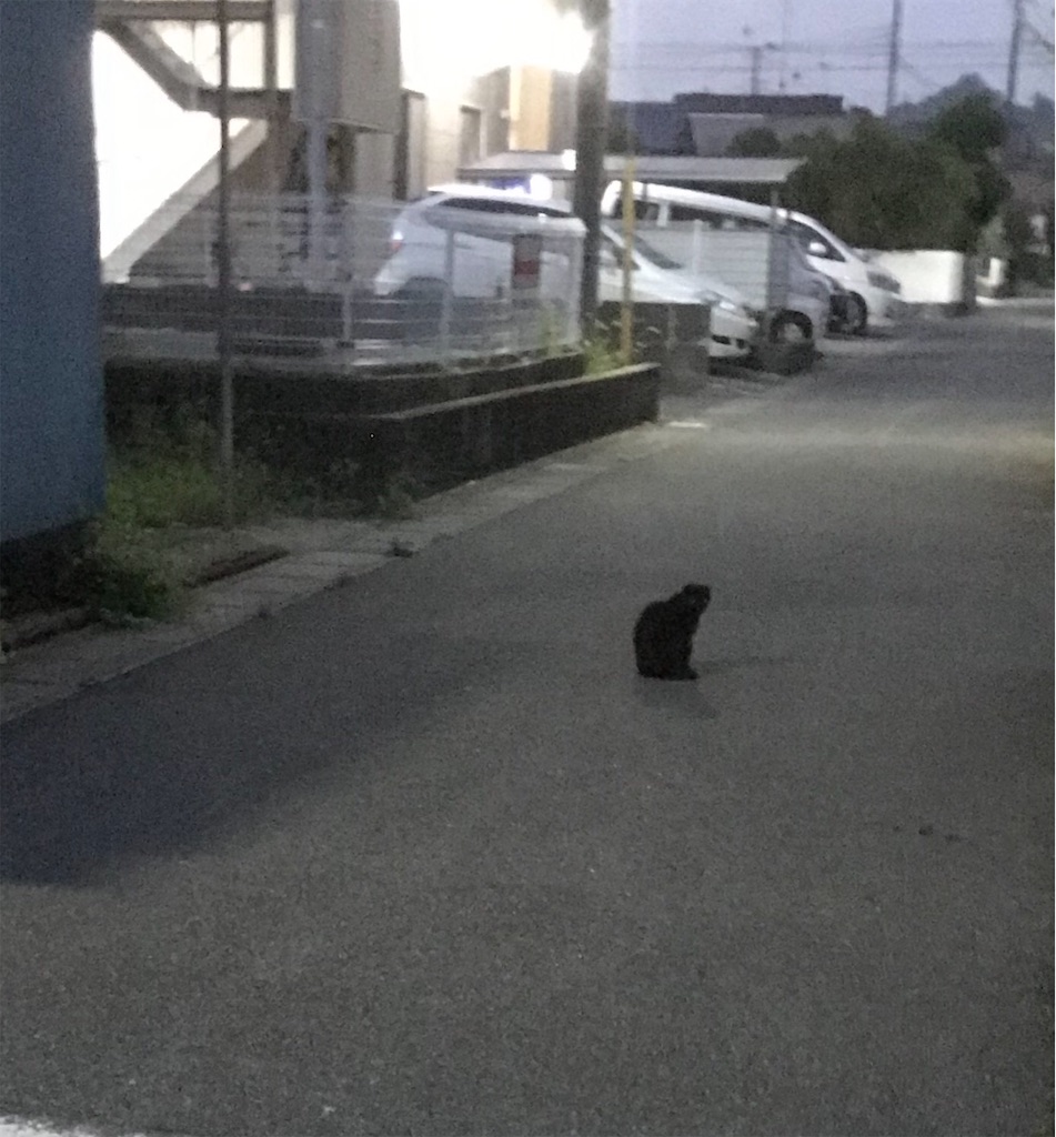 f:id:hukusuke39:20190826044744j:image