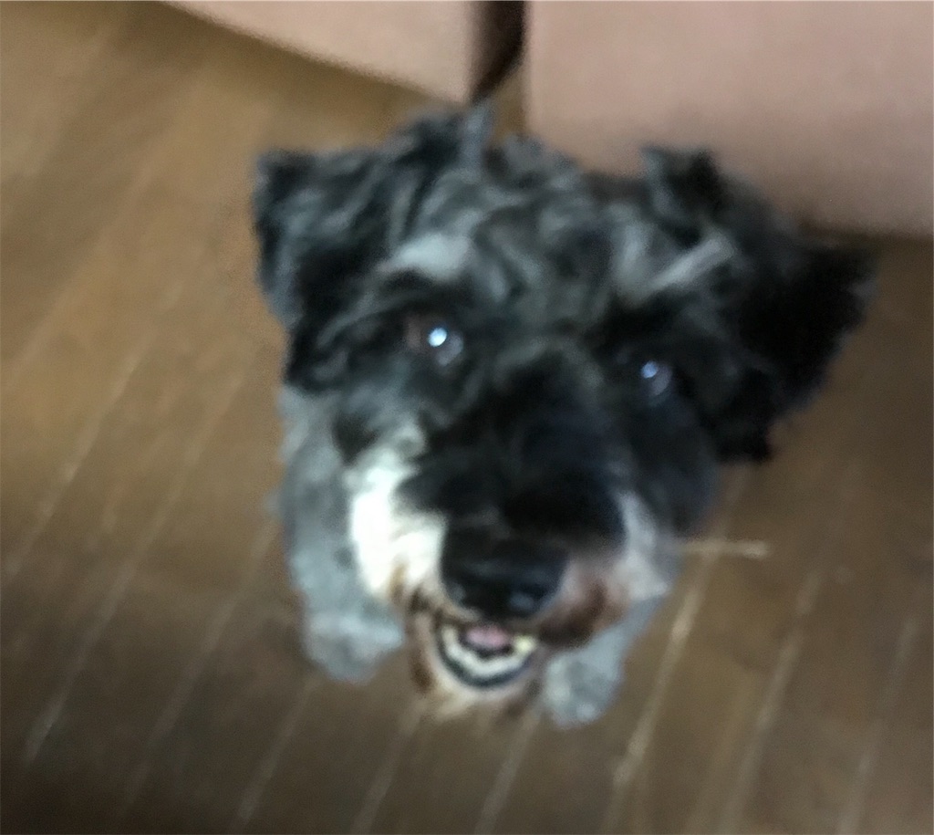f:id:hukusuke39:20190829044952j:image