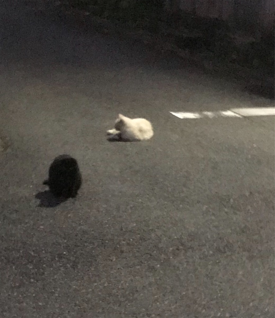 f:id:hukusuke39:20190901045004j:image