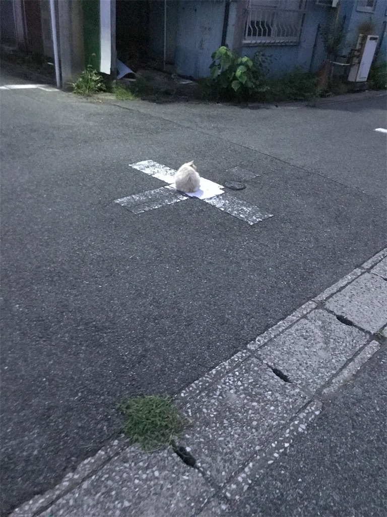 f:id:hukusuke39:20190915050956j:image