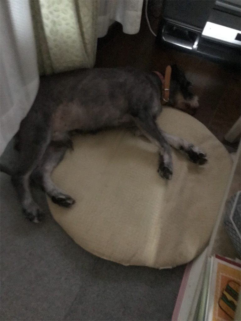 f:id:hukusuke39:20190930044046j:image