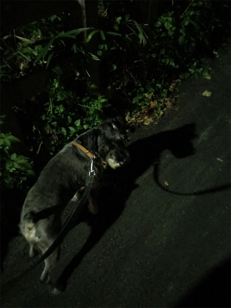 f:id:hukusuke39:20191007044208j:image