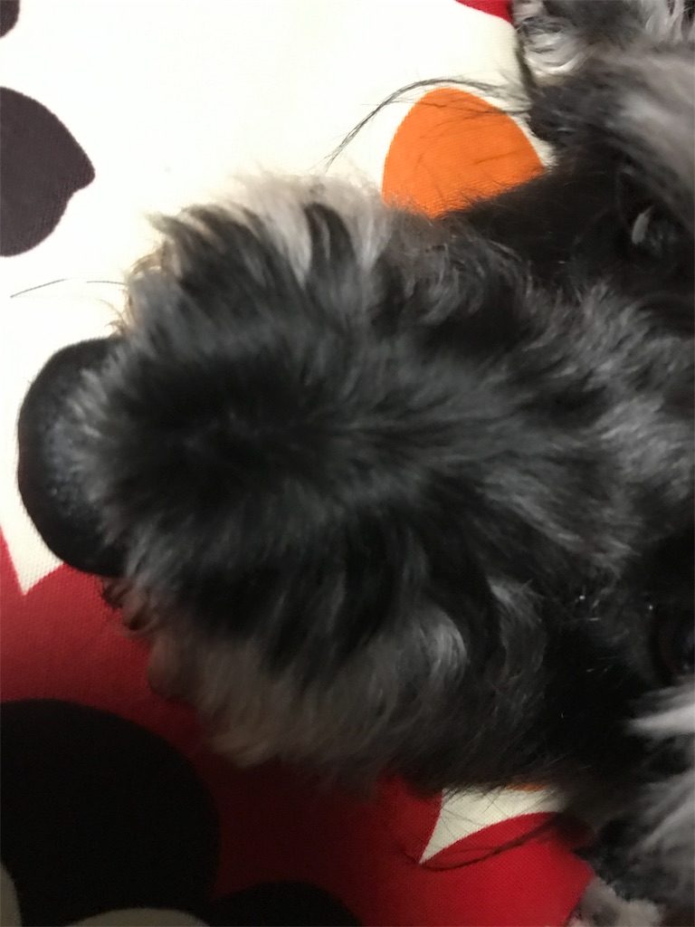 f:id:hukusuke39:20191022201802j:image