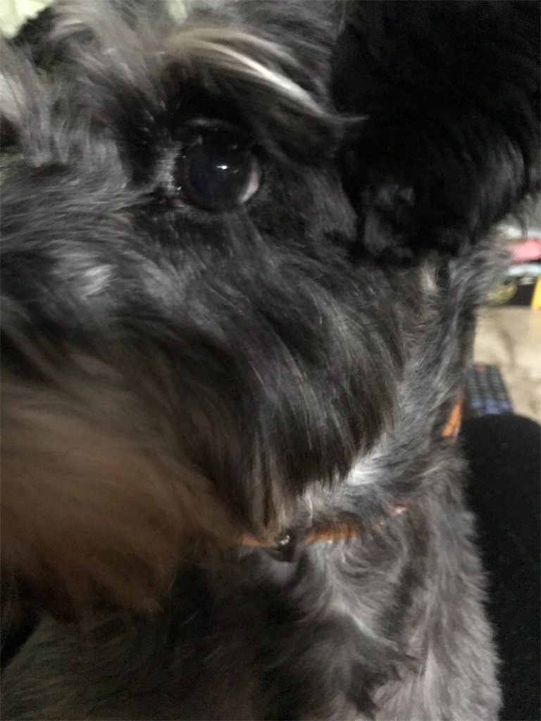 f:id:hukusuke39:20191102192329j:image