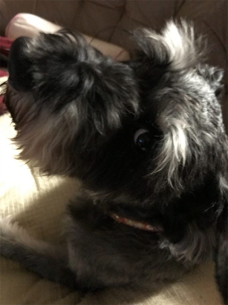 f:id:hukusuke39:20191105201147j:image