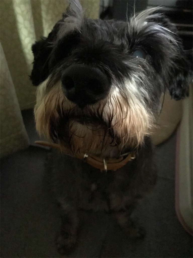 f:id:hukusuke39:20191108044540j:image