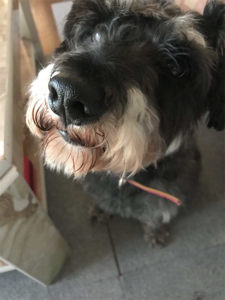 f:id:hukusuke39:20191108084029j:plain f:id:hukusuke39:20191108084029j:plain