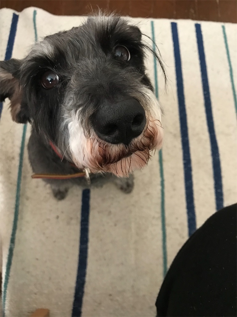 f:id:hukusuke39:20191108143753j:plain f:id:hukusuke39:20191108143753j:plain