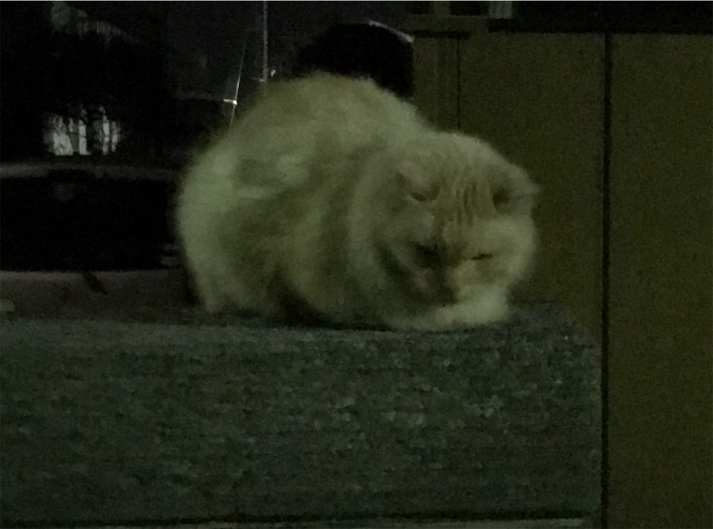f:id:hukusuke39:20191110053132j:image f:id:hukusuke39:20191110053132j:image