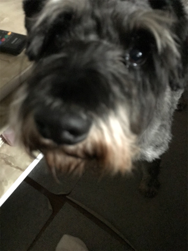 f:id:hukusuke39:20191112051150j:image f:id:hukusuke39:20191112051150j:image