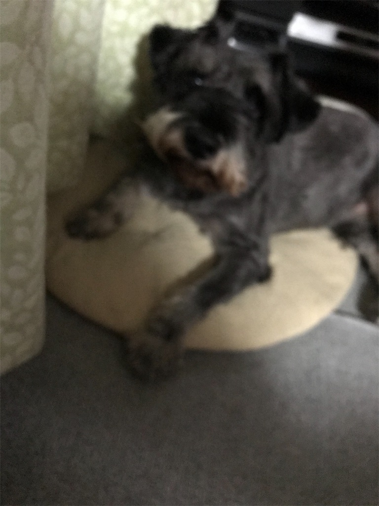 f:id:hukusuke39:20191112200527j:image