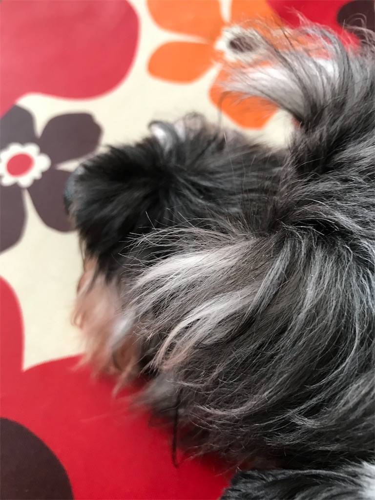 f:id:hukusuke39:20191117183416j:image