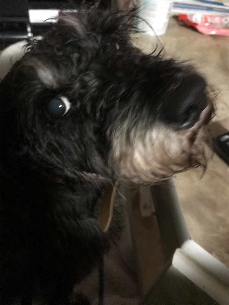 f:id:hukusuke39:20191128194654j:image