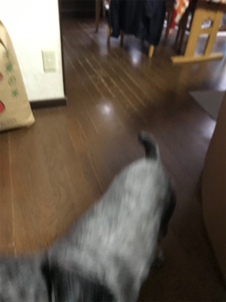 f:id:hukusuke39:20191221165856j:image f:id:hukusuke39:20191221165856j:image