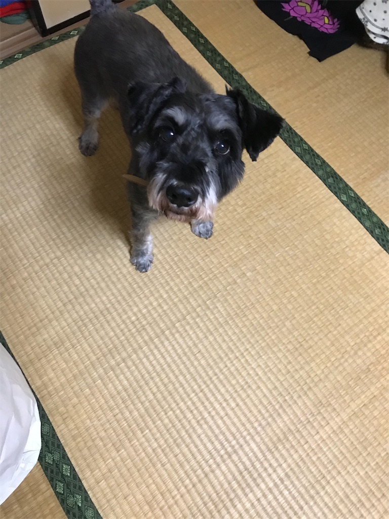 f:id:hukusuke39:20191230162808j:image f:id:hukusuke39:20191230162808j:image