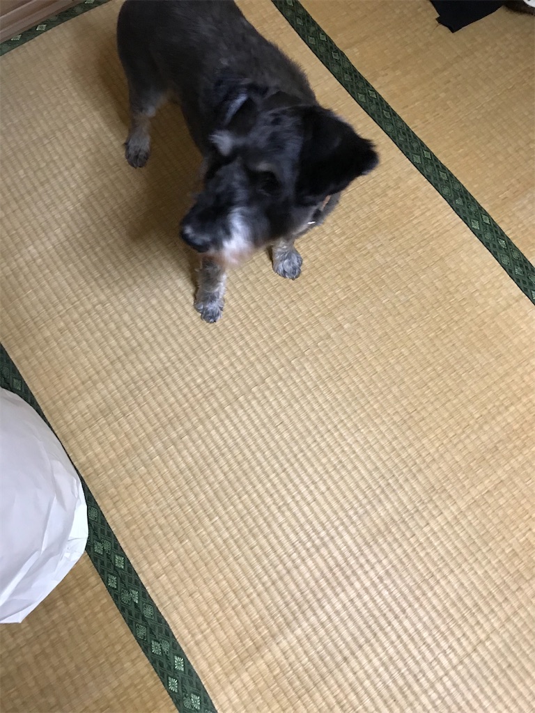 f:id:hukusuke39:20191230162823j:image f:id:hukusuke39:20191230162823j:image