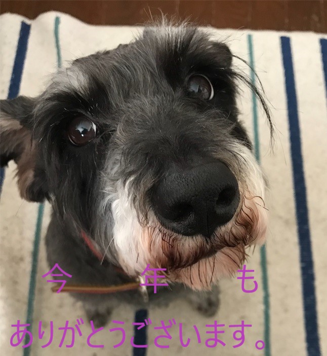 f:id:hukusuke39:20191231073509j:plain f:id:hukusuke39:20191231073509j:plain