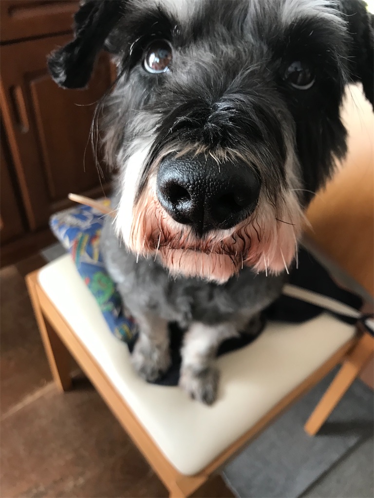 f:id:hukusuke39:20200106203338j:image