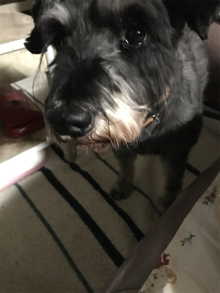 f:id:hukusuke39:20200107045235j:image