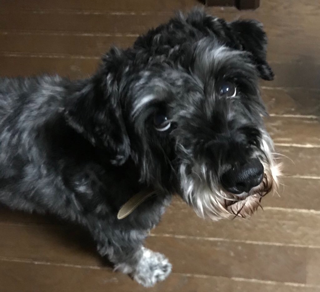 f:id:hukusuke39:20200223055808j:image