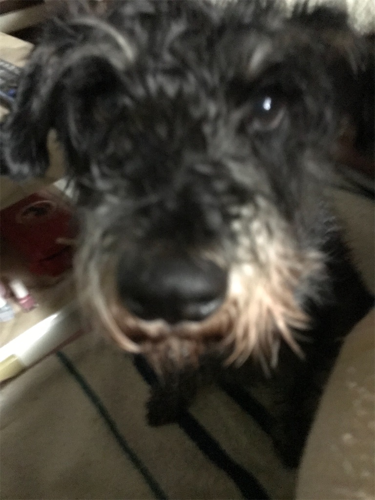 f:id:hukusuke39:20200223055840j:image