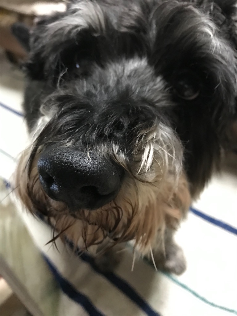 f:id:hukusuke39:20200302211733j:image f:id:hukusuke39:20200302211733j:image