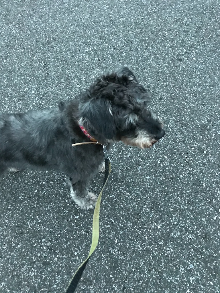 f:id:hukusuke39:20200615043741j:image