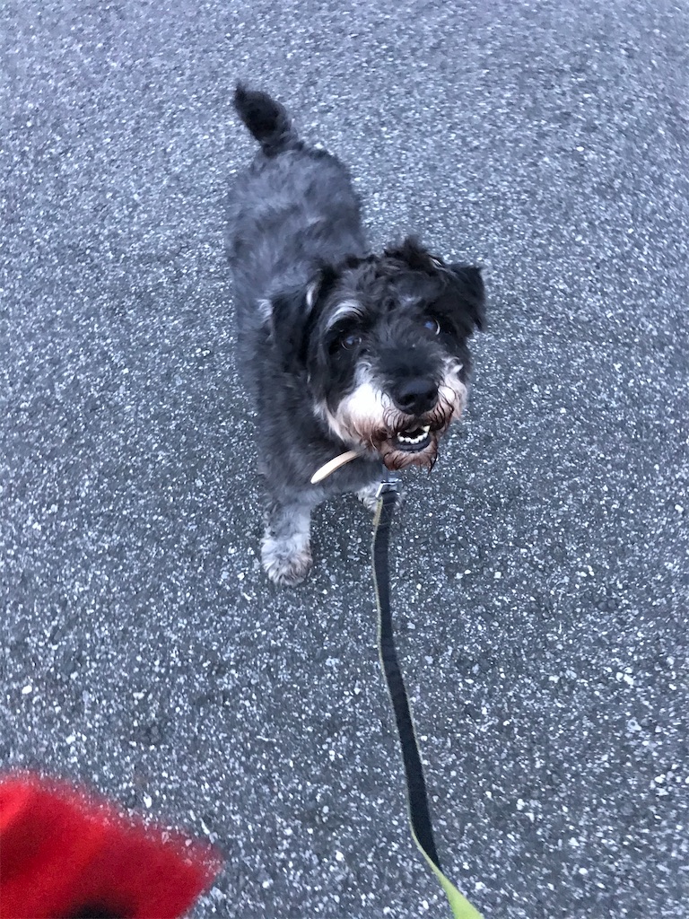 f:id:hukusuke39:20200625202630j:image