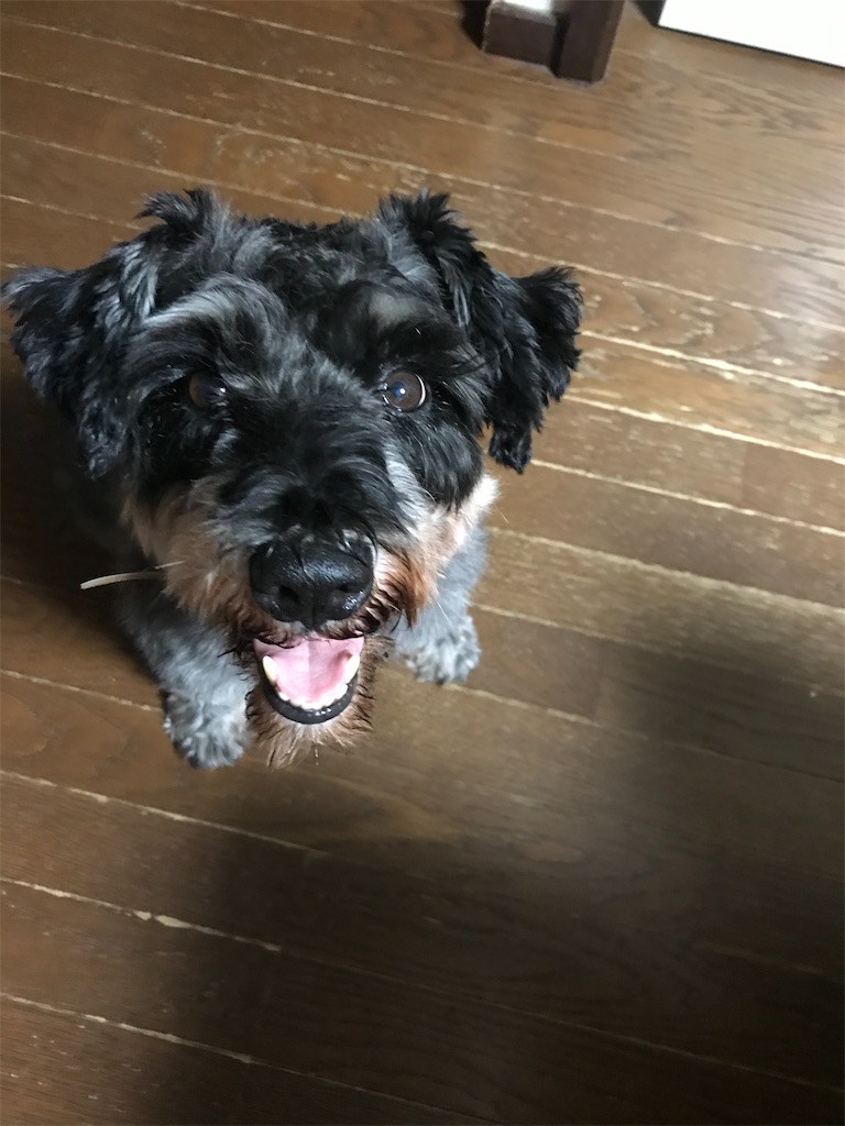 f:id:hukusuke39:20200911185538j:plain